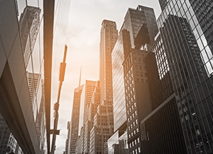 Removal Defense Image